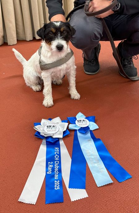 398D06CC-6793-41B1-A1B3-D3573A9F6E9B