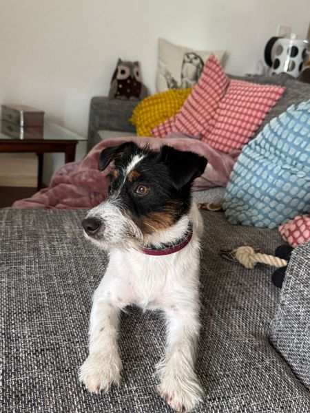 0B897ADF-A312-451E-A947-BB16A9250270