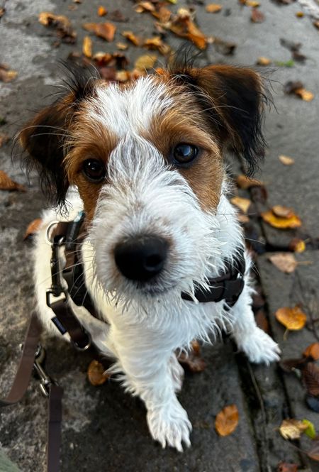 116D9919-F5E1-4A06-B4E3-1F8120CDC9D4