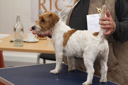 9EC2E312-D5B2-4BE5-8090-4E1D2DD93A4B