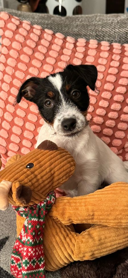 A3C08BDE-799A-48CF-BF9F-0F69548FD7C7