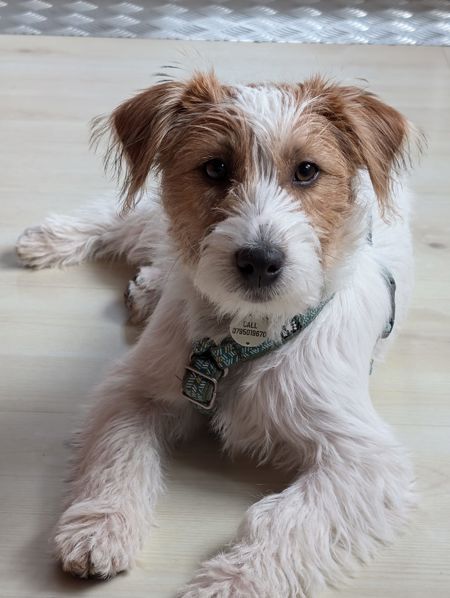 DBB1B0C4-C69D-4F08-BFD7-0090092B763F