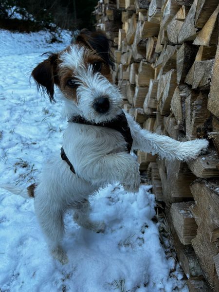 DBC7CCB7-3172-4FEA-894A-451AF310F1D3