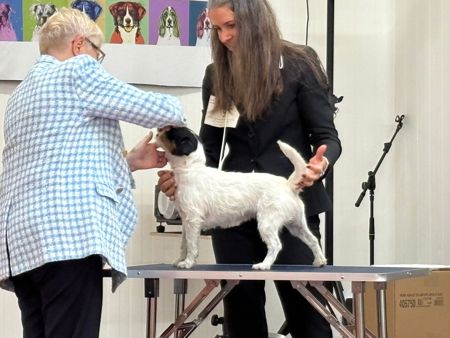 F4C30B02-752E-47BC-9FDA-DCE04AFBBFA1