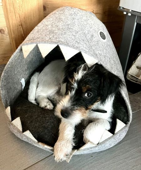 F7807ACD-2723-4E21-A4A5-A5B781D16457