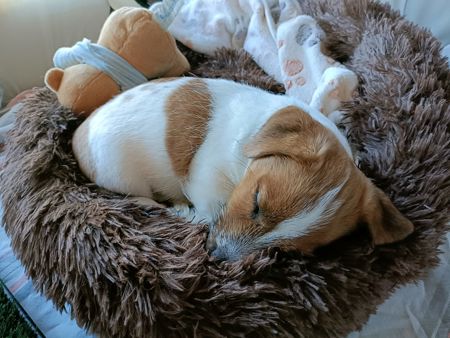 40B1364D-EEDE-40AE-9FC7-FBDB99FC7F55