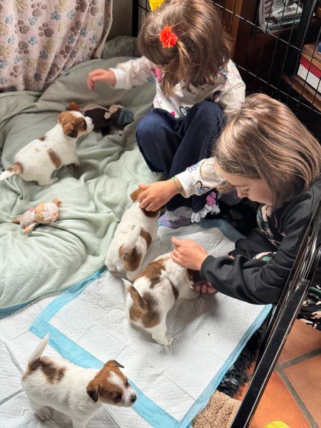 63A55D1D-AFD6-4344-A2CD-9C72A9AB7305