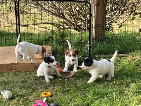 4EAA09D6-1E9F-4535-B977-BFC9AA9FDFD6