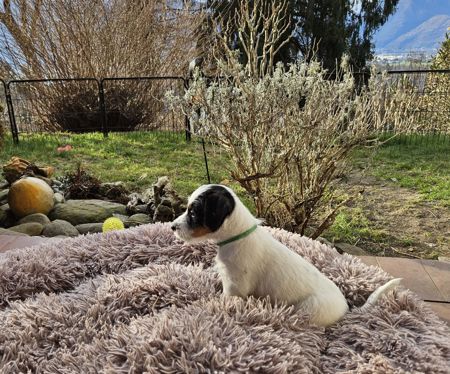 81e34a95-d76b-4597-bd35-ba988859198b