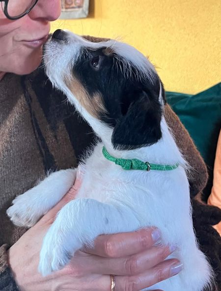 88708bc3-76da-4840-8e9d-099305e9ea36