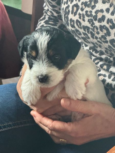 9371E1AA-2970-4EA8-AE68-83DB52F2832F